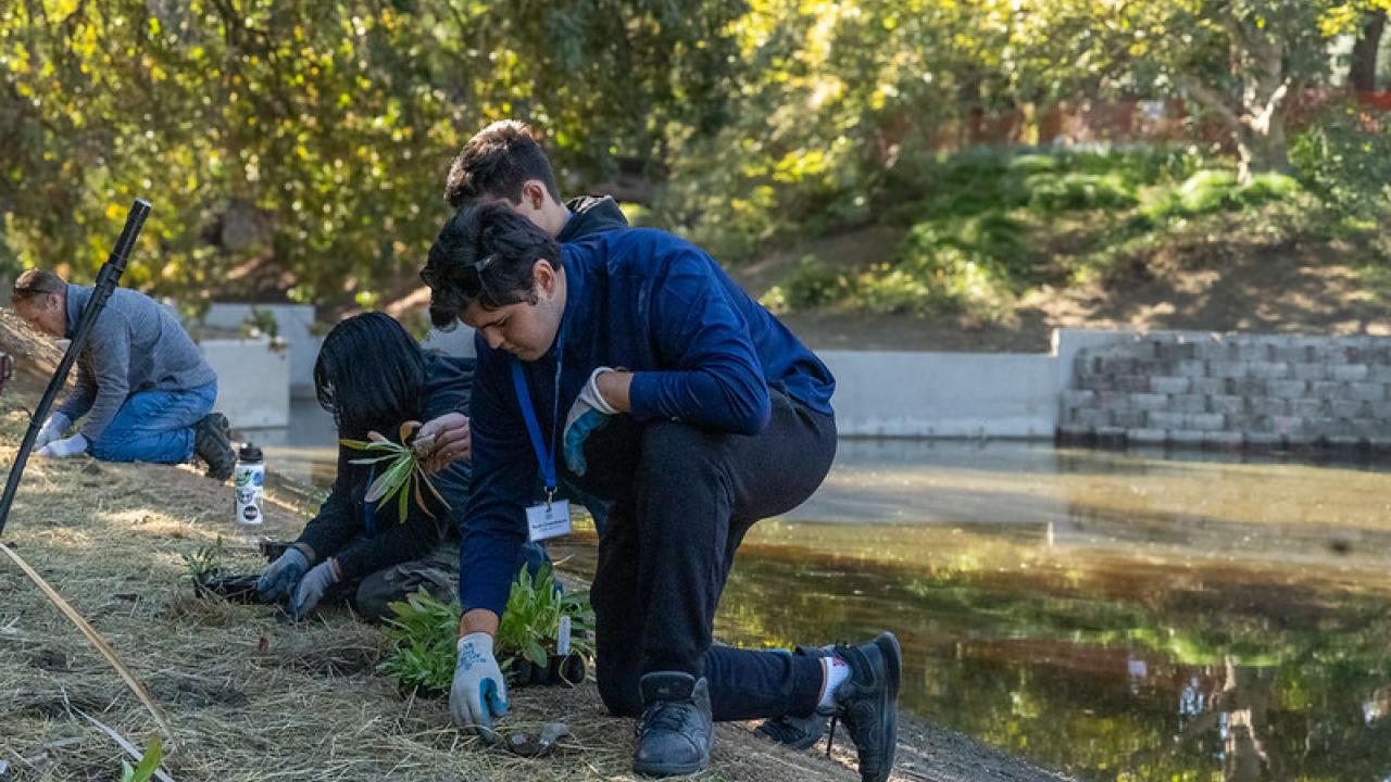 A group of people kneeling and working together to plant vegetation along the edge of a waterway. They are wearing gloves and outdoor clothing, with some wearing lanyards and ID badges. The scene is surrounded by lush greenery, with trees and a retaining wall visible in the background. The water reflects the sunlight filtering through the trees, creating a peaceful outdoor setting."