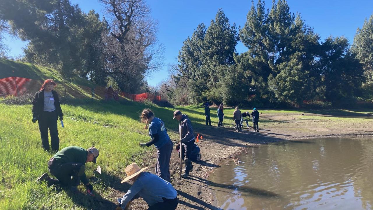 A group of volunteers working on the banks of the Arboretum Waterway