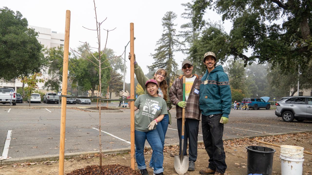 A group of four people stand, smiling by a newly planted tree