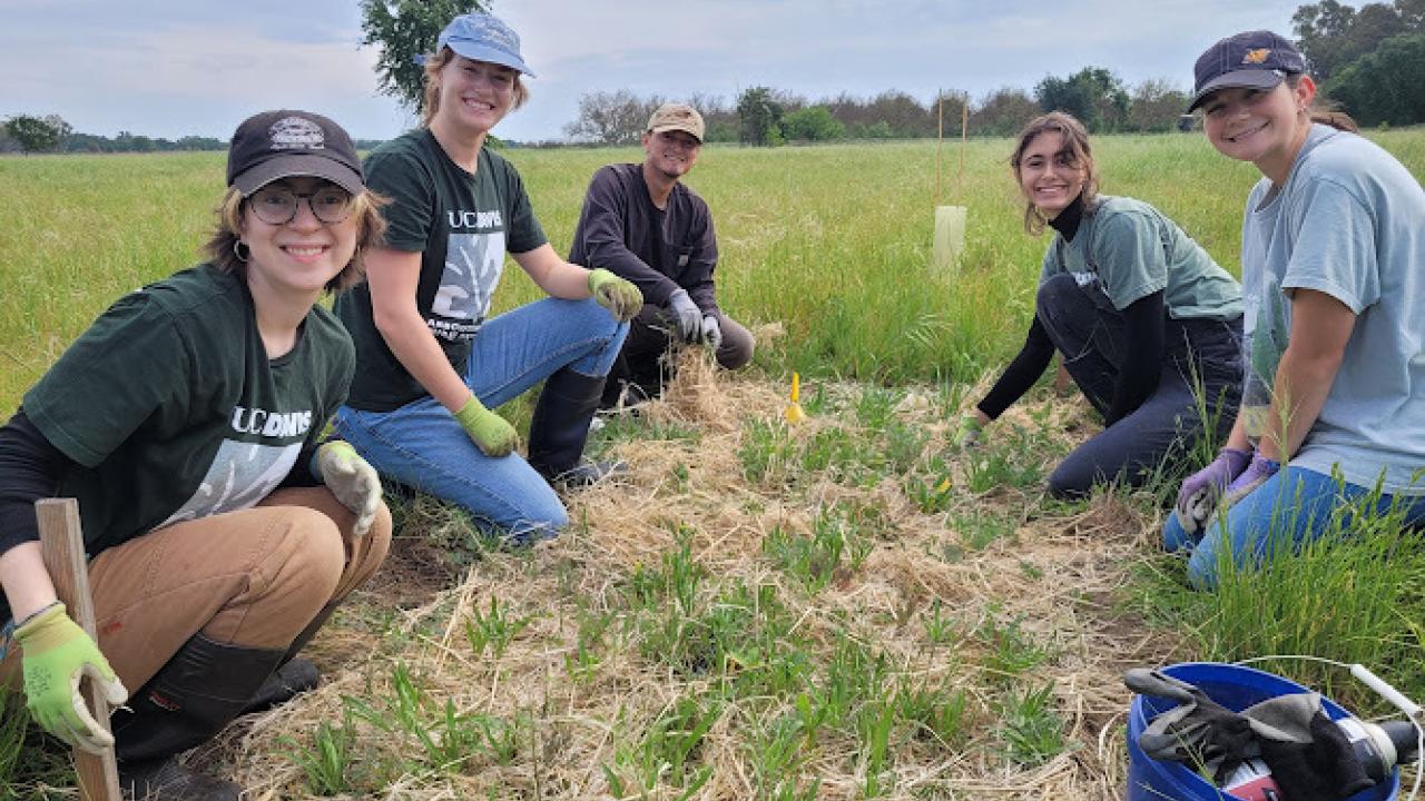 UC Davis students kneeling in a green field planting seedlings under a blue sky