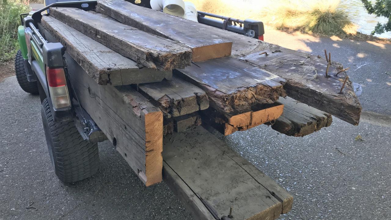 Image of Wyatt Deck redwood planks being taken for use by pond turtles.