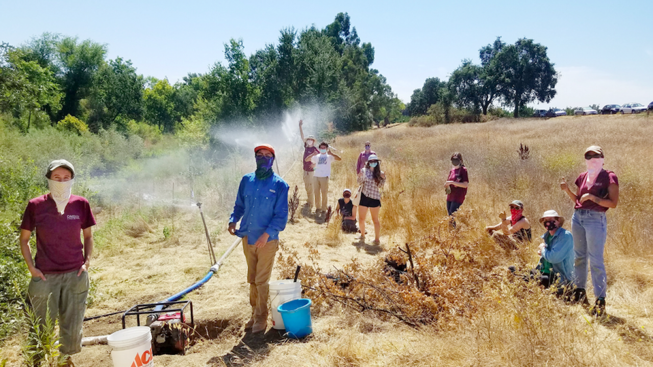 Eleven people stand in dead grass wearing masks and removing plant debris.