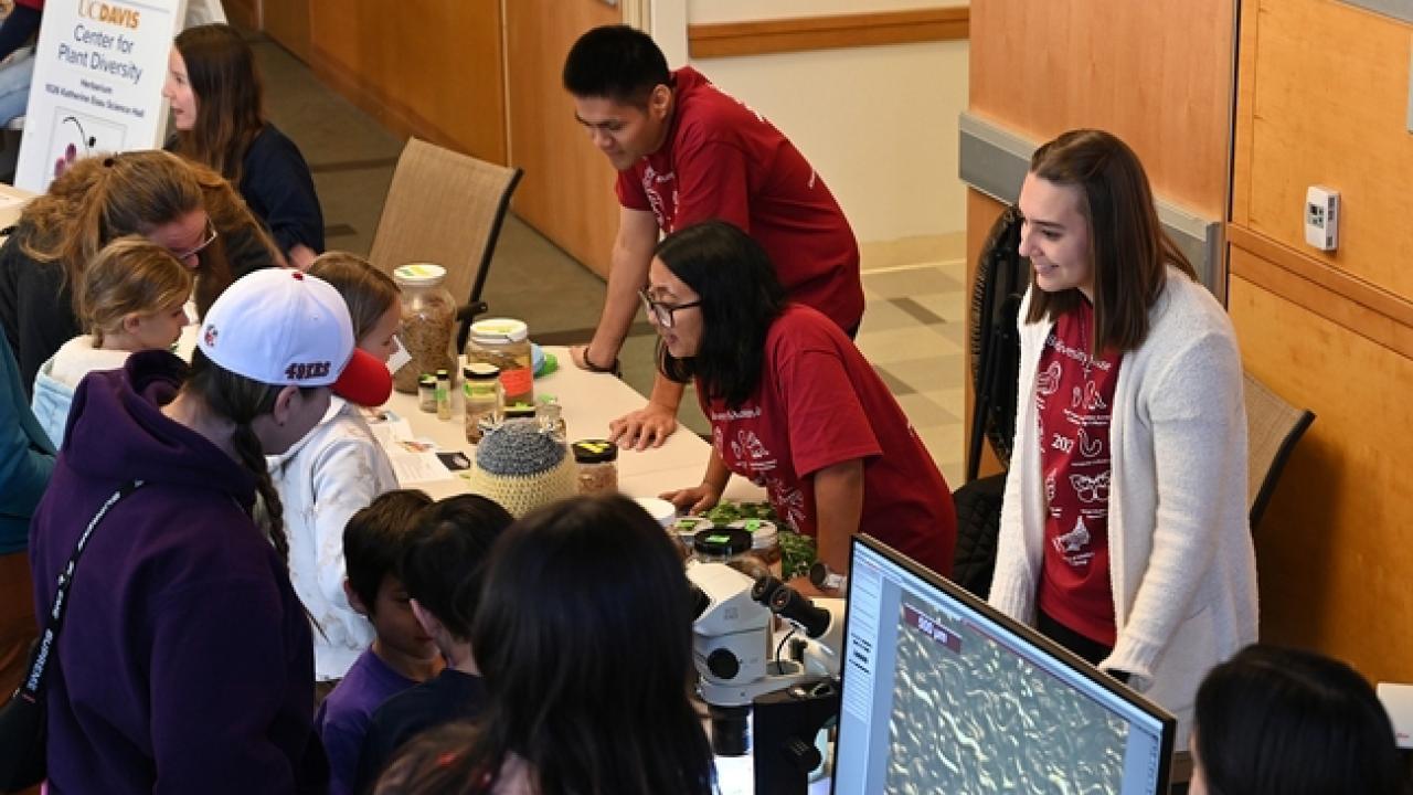 Visitors look over nematode display at the 2024 Biodiversity Museum Day