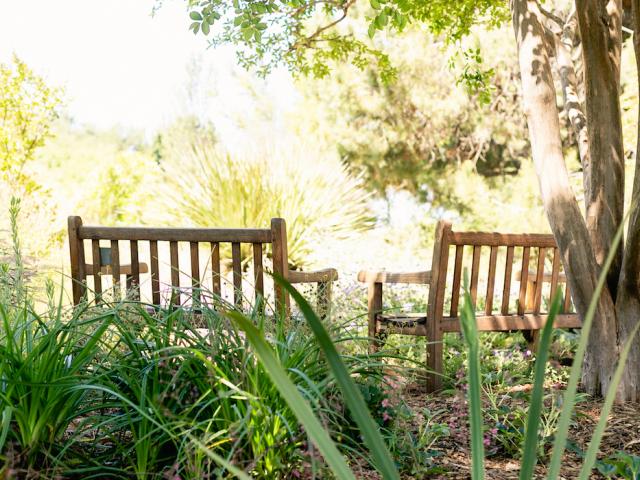 arboretum bench 