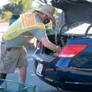Image of Nursery Manager Taylor Lewis loading plants into a car trunk.