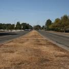 La Rue Road median