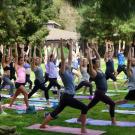 Image of yoga class in the Arboretum.