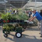 Spring Plant Sale