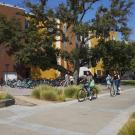 Students biking on a path near Tercero Residence Halls