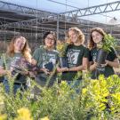 Four Learning by Leading interns pose with plants among aisles of greenery in the Arboretum Teaching Nursery