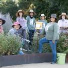 Image of a group of all-ages volunteers in a garden setting.