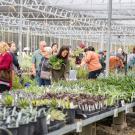 image of interns holding plants in an aisle of the UC Davis Arboretum teaching nursery.