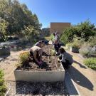 Volunteers working in the Good Life Garden