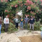 People standing beneath a blooming tree in a garden