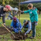 Community volunteers help plant a tree in front of UC Davis' Wellman Hall.