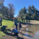A group of volunteers working on the banks of the Arboretum Waterway
