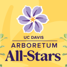 Cutouts of flowers on a yellow background. Text reads "Arboretum All-Stars"
