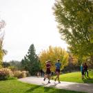 Joggers on a path in a lush green Arboretum.
