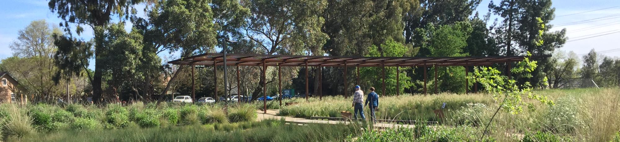 Image of the UC Davis Arboretum GATEway Garden.