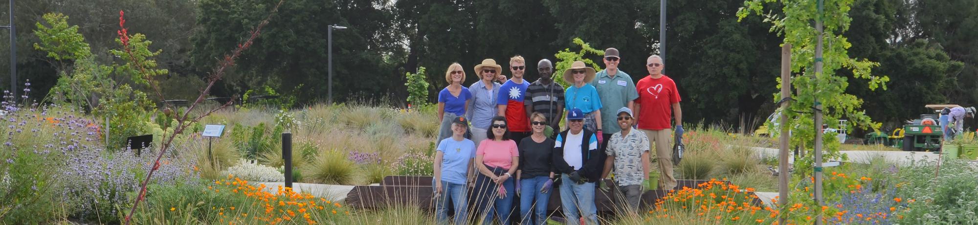 Image of volunteers in the UC Davis Arboretum's Environmental GATEway.
