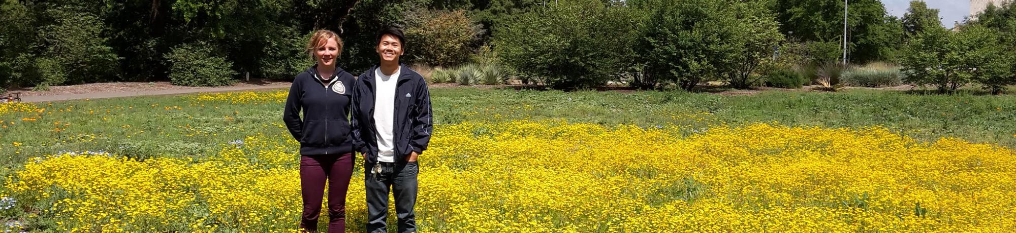 Image of Learning by Leading Sustainable Horticulture interns in a student-planted wildflower meadow.